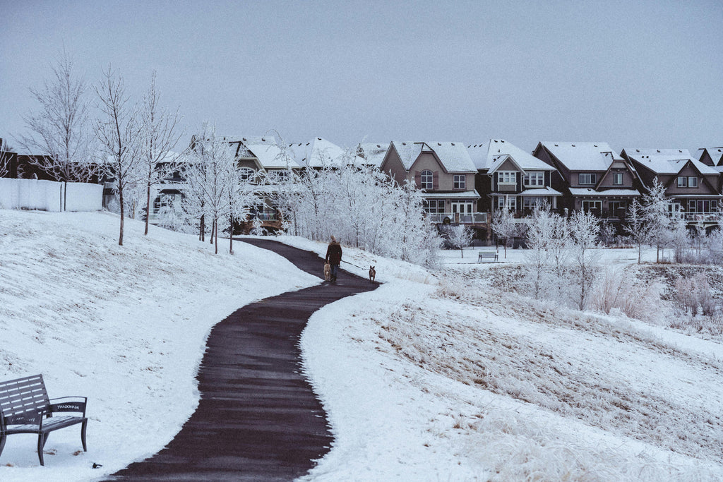 Best eBike Trails in Calgary