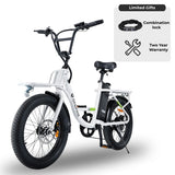 isinwheel U7 Cargo Bike