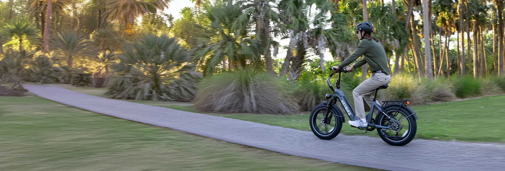 WOW Electric Rides / WOW Technologies