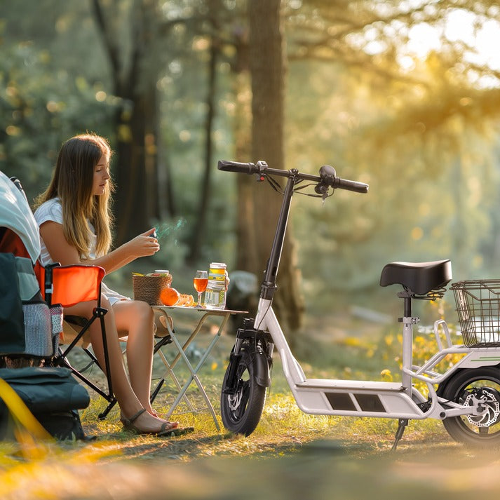 isinwheel Hyper X Electric Scooter with Seat & Basket 700W