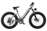 CyCrown CycVerve All-terrain Electric Bike