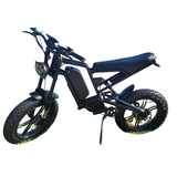 M 1200 WOW E -BIKE