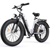 isinwheel U8 Ultra Electric Bike for Adults