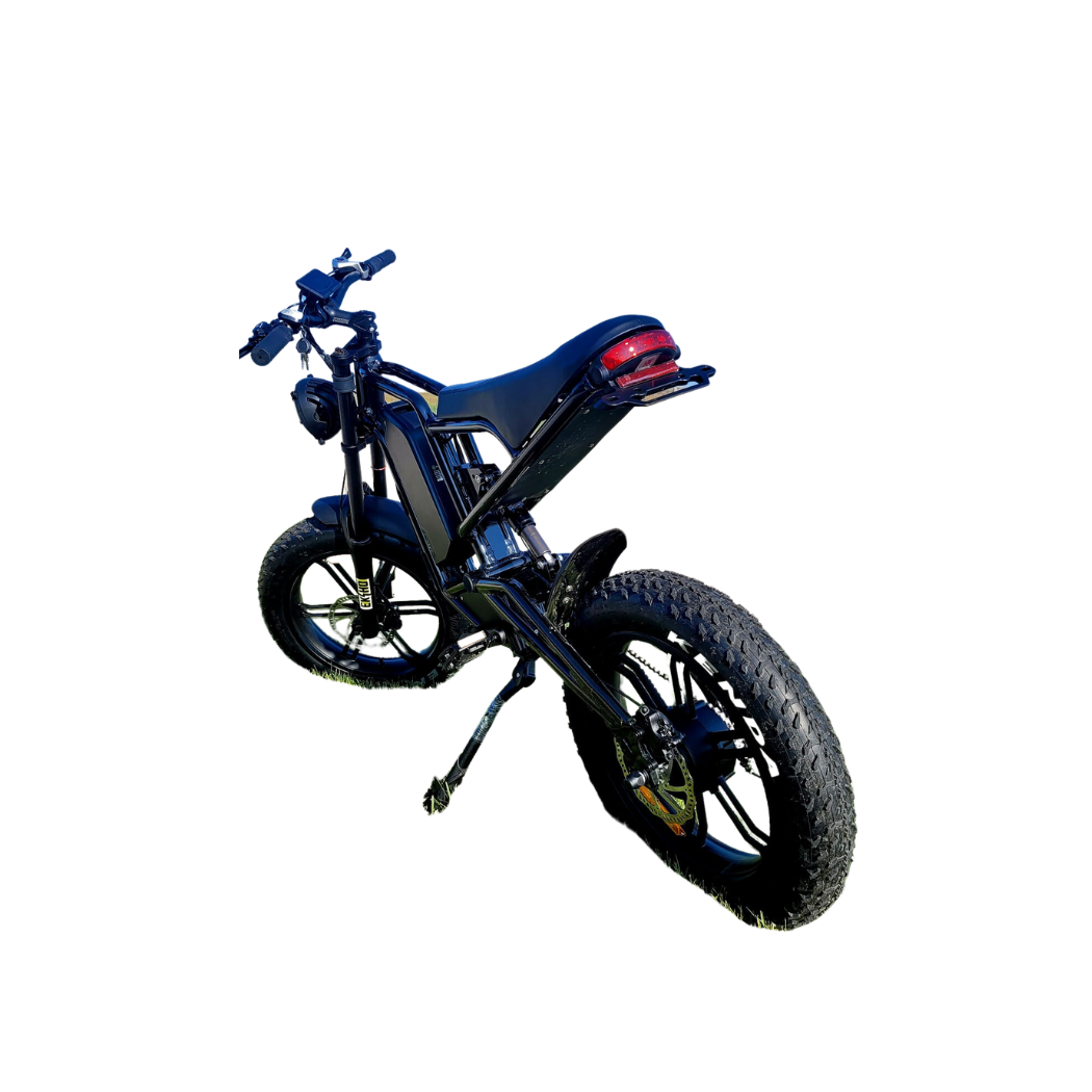 M 1200 WOW E -BIKE
