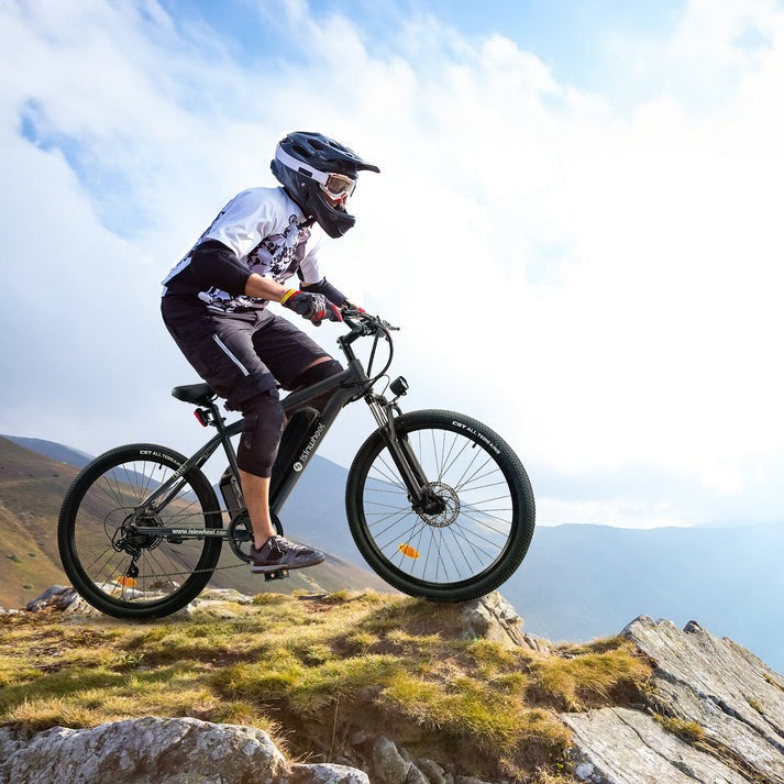 isinwheel M10 500W Electric Commuter Bike