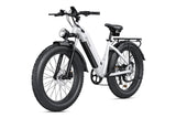 CyCrown CycVerve All-terrain Electric Bike