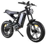M 1200 WOW E -BIKE