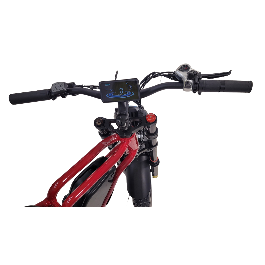 M 1200 WOW E -BIKE