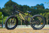 Cycrown CycUltra Fat Tire Step Over Electric Bike