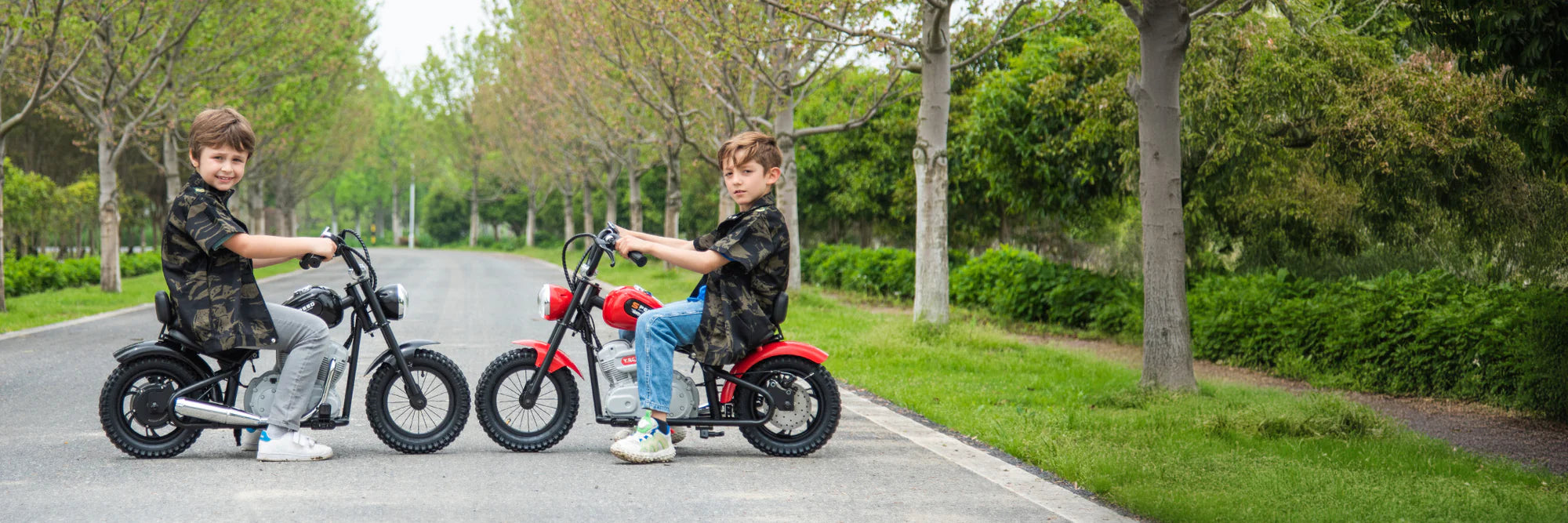 WOW Electric Rides / WOW Technologies