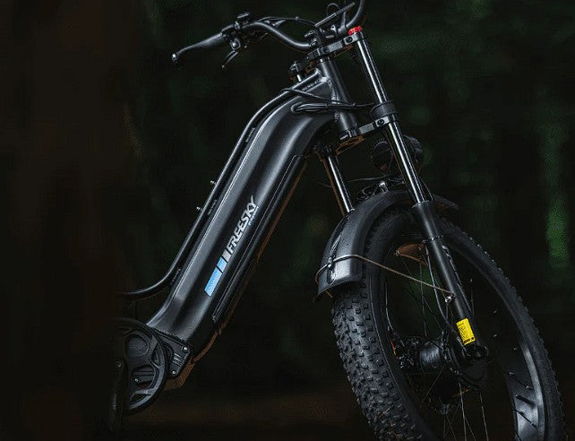 Freesky-Ranger M-540 (Dual Motor)