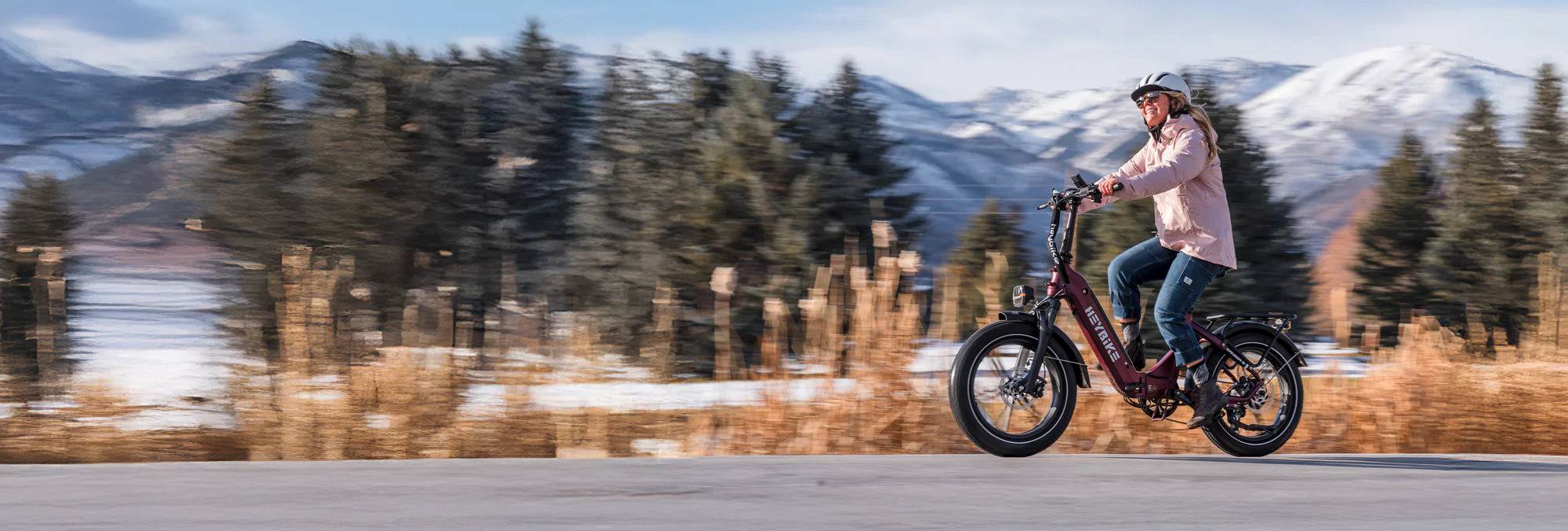 WOW Electric Rides / WOW Technologies