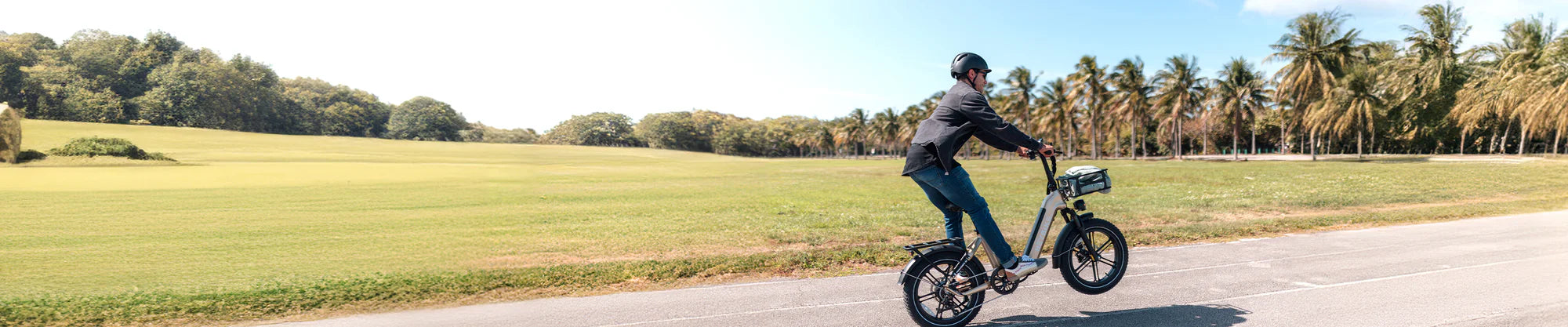 WOW Electric Rides / WOW Technologies