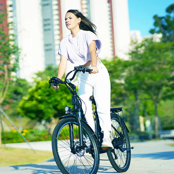 isinwheel U2 500W Electric Cruiser Bike