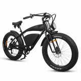 R 1200  WOW E-Ride