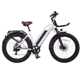 ETCYCLE T1000 Cruiser E-Bike (German Brand)