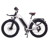 ETCYCLE T1000 Cruiser E-Bike (German Brand)