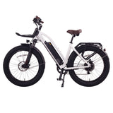 ETCYCLE T720 Cruiser E-Bike (German Brand)