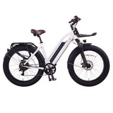 ETCYCLE T720 Cruiser E-Bike (German Brand)
