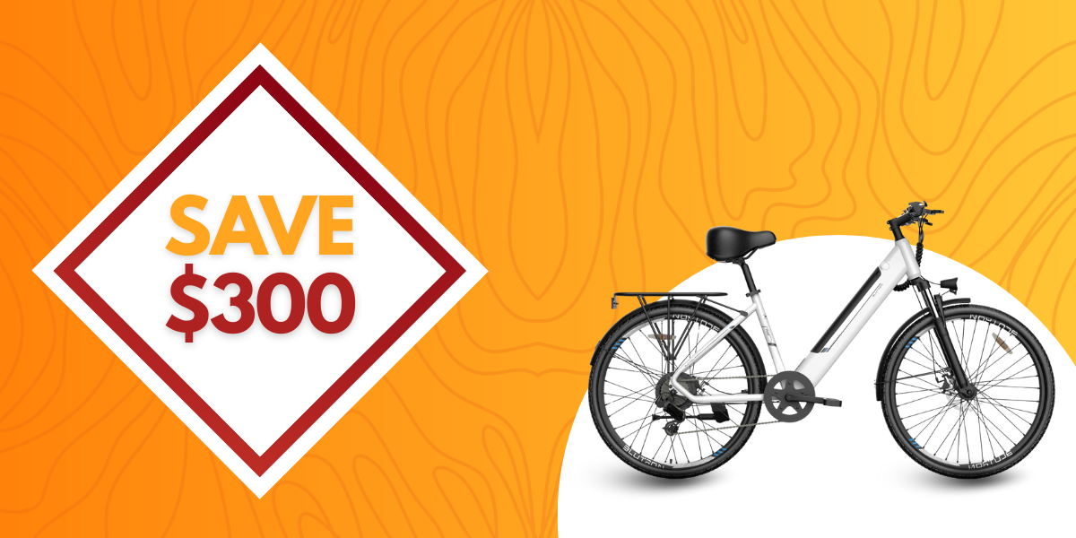 Blutron EB650 Electric Bike
