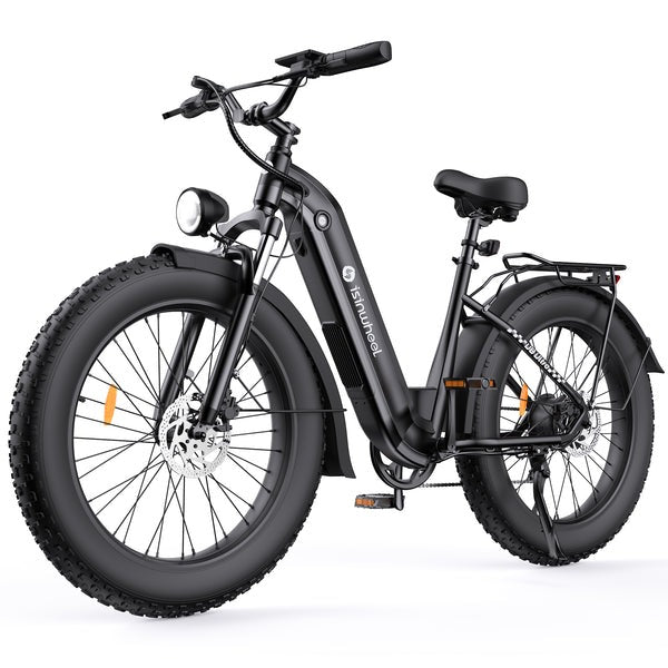isinwheel eBike