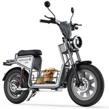 isinwheel H7Pro High-End Commuting Electric Scooter with Seat