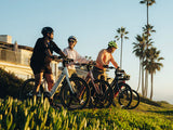 Heybike Venus Electric Bike Canada | 750W | 85-Mile Range