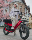 TESWAY X5 PRO Cargo Ebike 2000W 48V 60Ah | Long Range Electric Bike