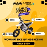 WOW Dirt Bike 36V-Kids Electric Ride On Motorcycle (SR6336)