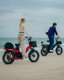 TESWAY X5 PRO Cargo Ebike 2000W 48V 60Ah | Long Range Electric Bike