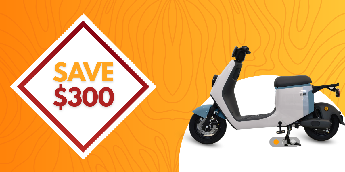AIMA Electric Bike