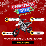 WOW Dirt Bike 36V-Kids Electric Ride On Motorcycle (SR6336)