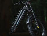 Freesky-Ranger M-540 (Dual Motor)