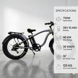 WOW NEO-5 Motor 750w Peak , 13Ah Battery