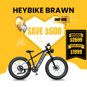 HeyBike Brawn