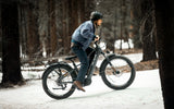 Heybike ALPHA - Electric Bike