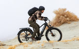 Heybike ALPHA - Electric Bike