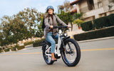 Heybike ALPHA - Electric Bike