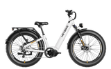 Heybike ALPHA - Electric Bike