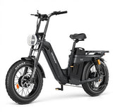 TESWAY X5 AWD Mount 3600W Dual Motor Electric Bike