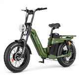 TESWAY X5 AWD Mount 3600W Dual Motor Electric Bike