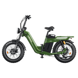 TESWAY X5 AWD Mount 3600W Dual Motor Electric Bike