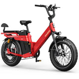 TESWAY X5 PRO Cargo Ebike 2000W 48V 60Ah | Long Range Electric Bike