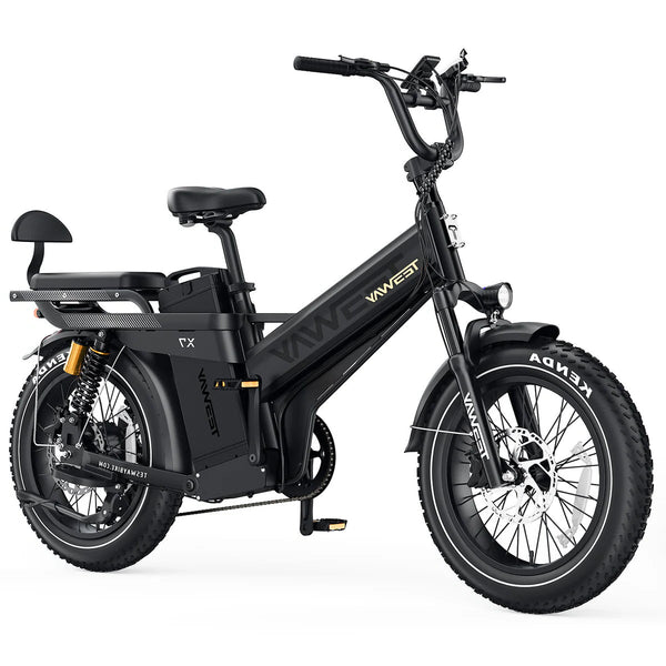 cargo TESWAY