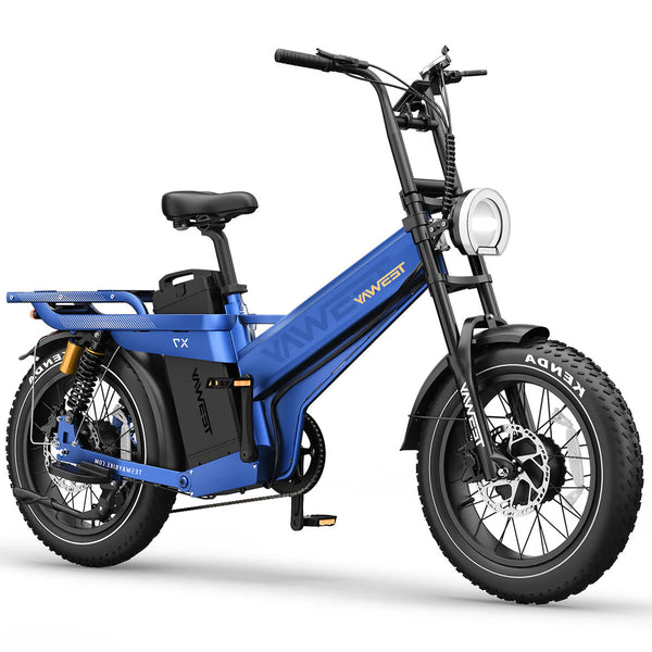 dualmotor_tesway