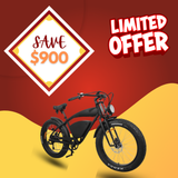 R 1200  WOW E-Ride