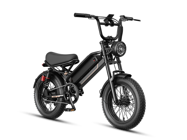 Heybike R16 Compact Fat Tire E-Bike | 2000W High-Torque Motor | 80 Nm Torque & Dual Suspension
