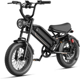 Heybike R20 Fat Tire Electric Bike | 2000W Peak Power | 48V 20Ah Ultra-Long