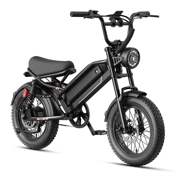 Heybike R20 Fat Tire Electric Bike | 2000W Peak Power | 48V 20Ah Ultra-Long