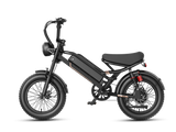 Heybike R16 Compact Fat Tire E-Bike | 2000W High-Torque Motor | 80 Nm Torque & Dual Suspension
